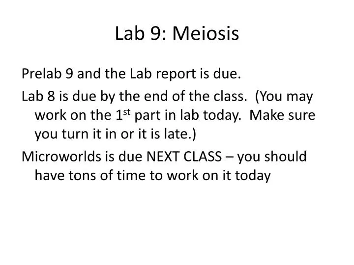 lab 9 meiosis