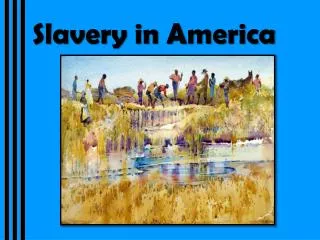 Slavery in America