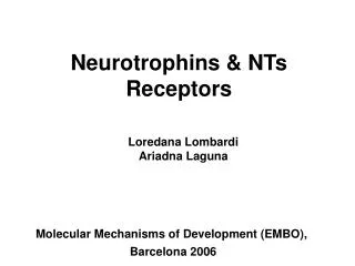 Neurotrophins &amp; NTs Receptors