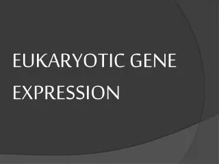 EUKARYOTIC GENE EXPRESSION