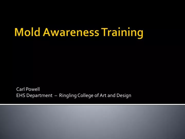 carl powell ehs department ringling college of art and design