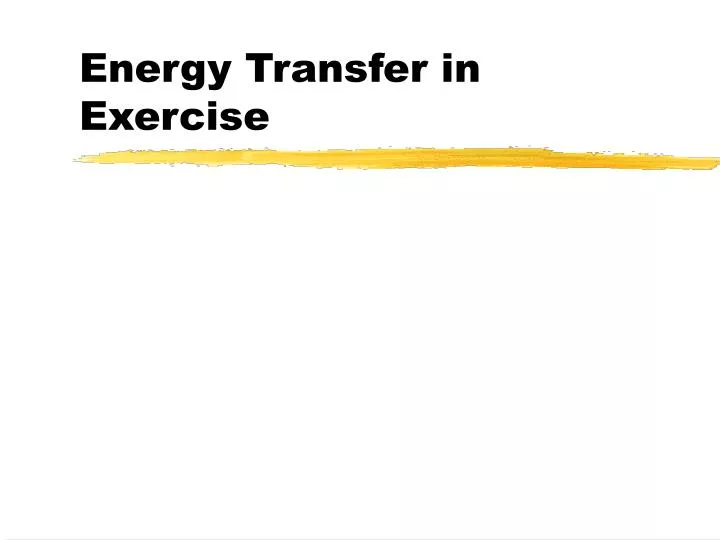 energy transfer in exercise