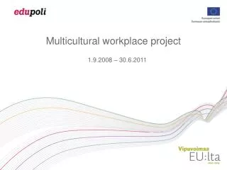Multicultural workplace project