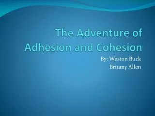 The Adventure of Adhesion and Cohesion