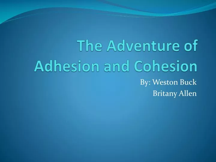 the adventure of adhesion and cohesion