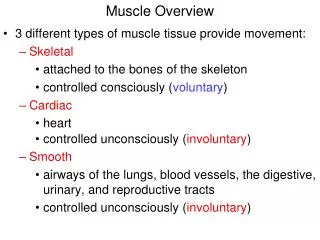 Muscle Overview