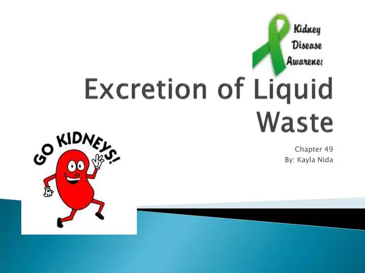 excretion of liquid waste