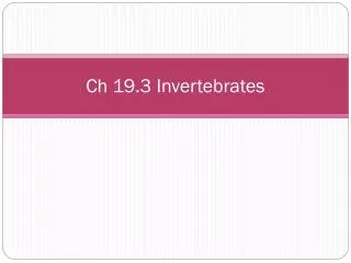 Ch 19.3 Invertebrates
