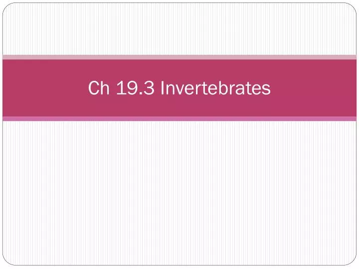ch 19 3 invertebrates