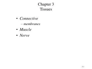 Chapter 3 Tissues