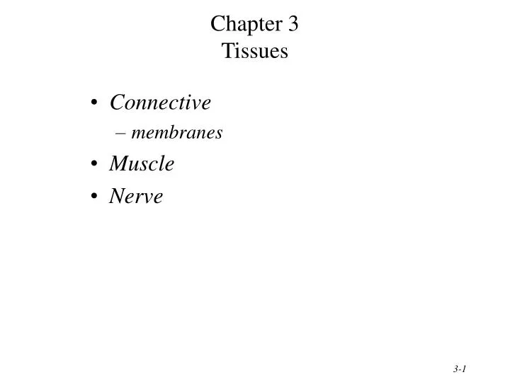 chapter 3 tissues
