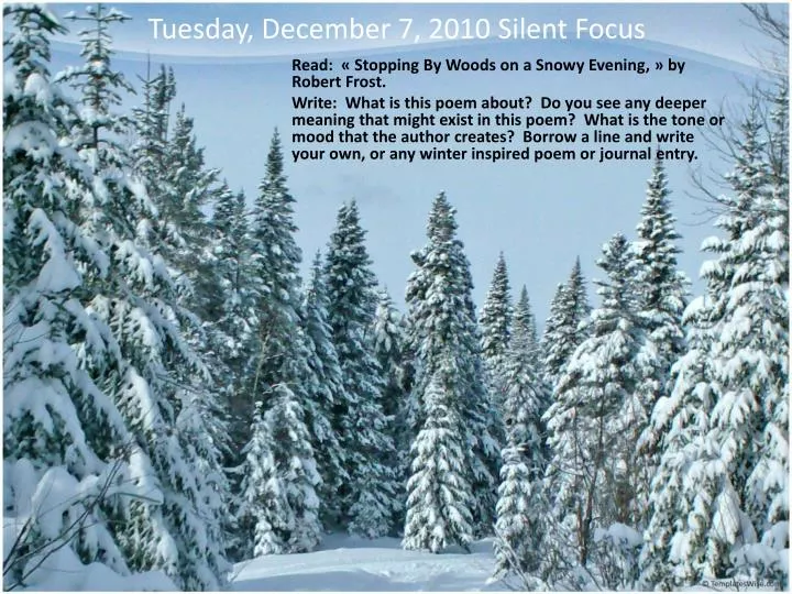 tuesday december 7 2010 silent focus