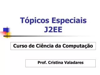 t picos especiais j2ee