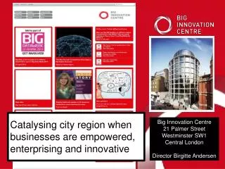 Big Innovation Centre 21 Palmer Street Westminster SW1 Central London Director Birgitte Andersen