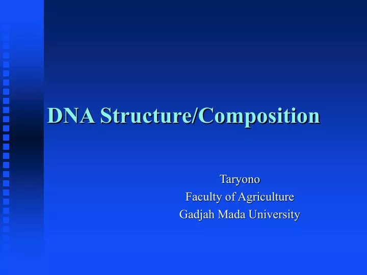 dna structure composition