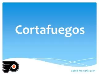 cortafuegos