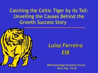 Catching the Celtic Tiger by its Tail: Unveiling the Causes Behind the Growth Success Story
