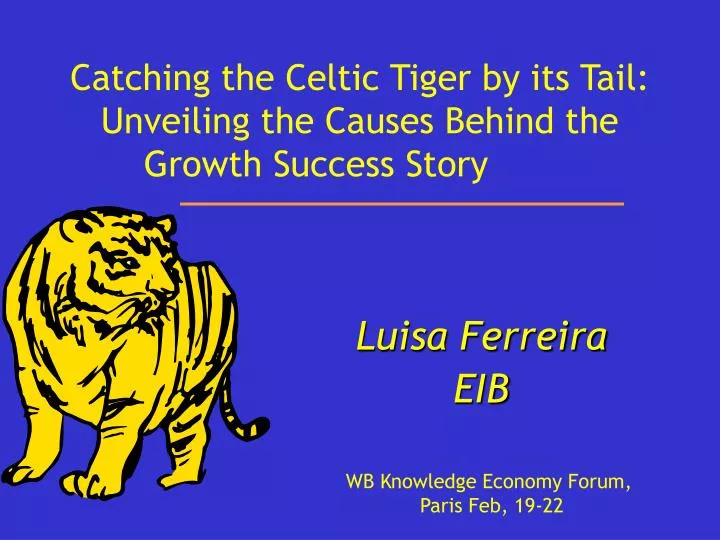 catching the celtic tiger by its tail unveiling the causes behind the growth success story