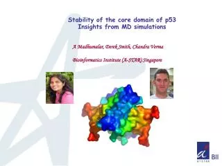 Stability of the core domain of p53 Insights from MD simulations