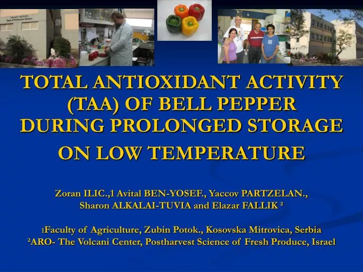 total antioxidant activity taa of bell pepper during prolonged storage on low temperature