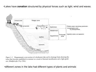 Lakes have zonation structured by physical forces such as light, wind and waves.