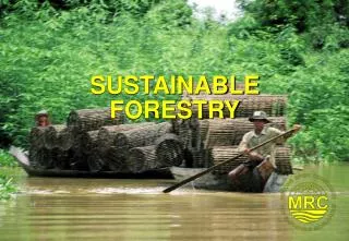 sustainable forestry