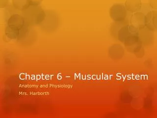 PPT - Chapter 6 The Muscular System PowerPoint Presentation, Free ...