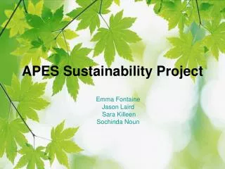 APES Sustainability Project