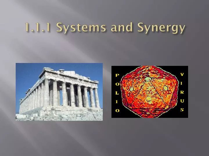 1 1 1 systems and synergy
