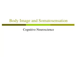Body Image and Somatosensation