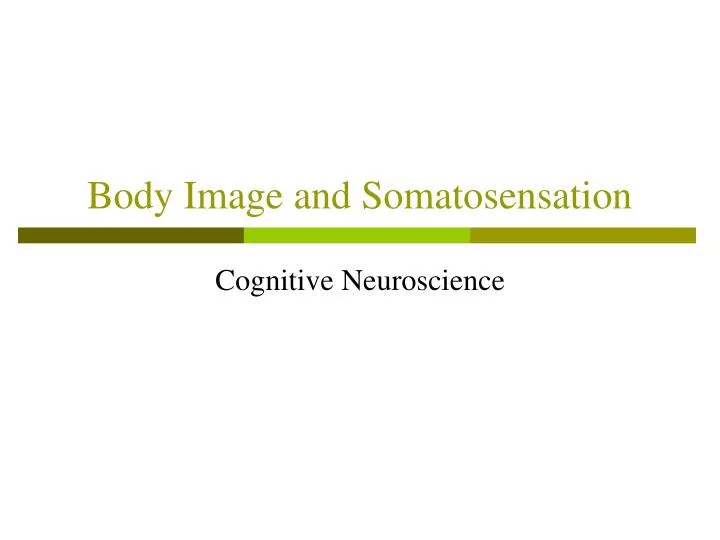 body image and somatosensation