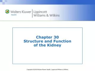 Chapter 30 Structure and Function of the Kidney