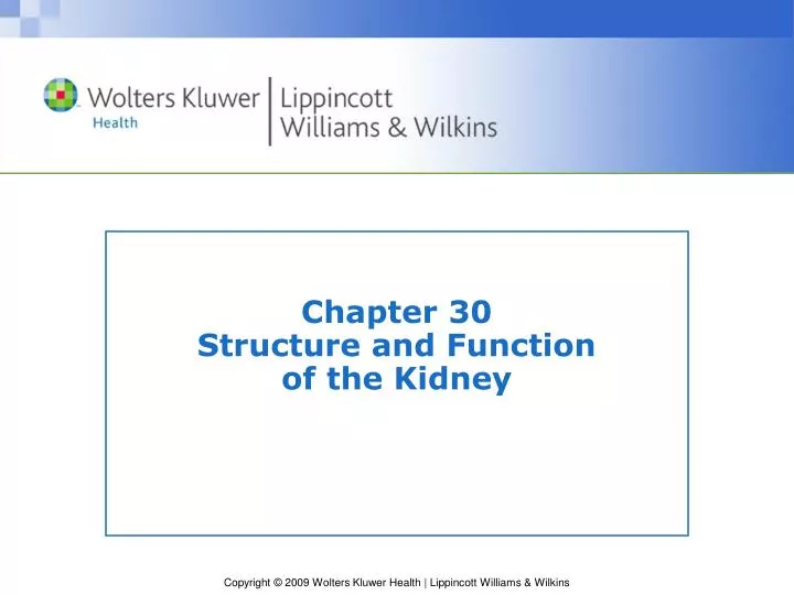 chapter 30 structure and function of the kidney