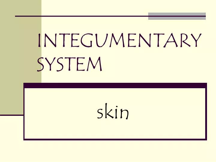 PPT - INTEGUMENTARY SYSTEM PowerPoint Presentation, free download - ID ...