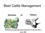 Beef Cattle Management - slide 1