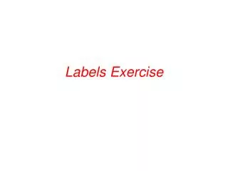 Labels Exercise