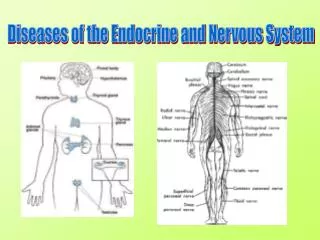 Diseases of the Endocrine and Nervous System