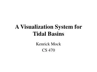 A Visualization System for Tidal Basins