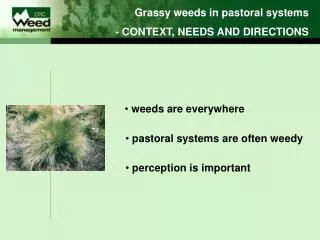 Grassy weeds in pastoral systems - CONTEXT, NEEDS AND DIRECTIONS