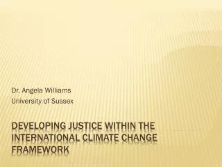Developing justice within the international climate change framework