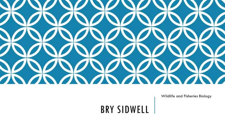 bry sidwell
