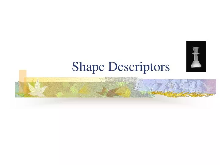 shape descriptors