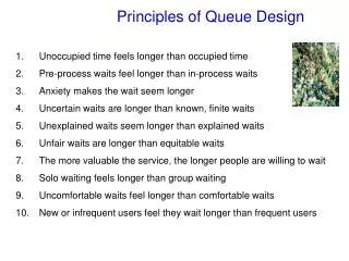 Principles of Queue Design