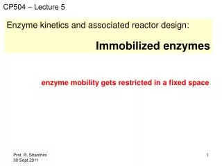 Enzyme kinetics and associated reactor design: Immobilized enzymes