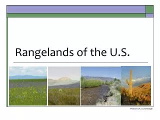 rangelands of the u s