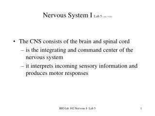 Nervous System I Lab 5 ( rev 3-11)