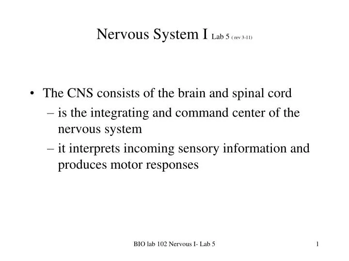 nervous system i lab 5 rev 3 11