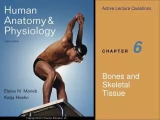 Bones and Skeletal Tissue