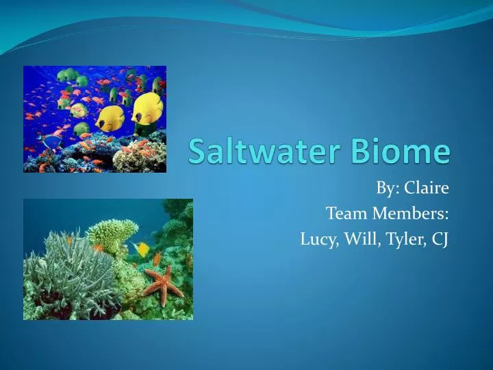 saltwater biome