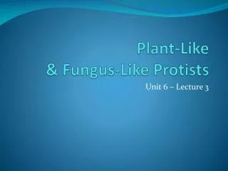 Plant-Like &amp; Fungus-Like Protists